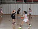 Noticies CESN